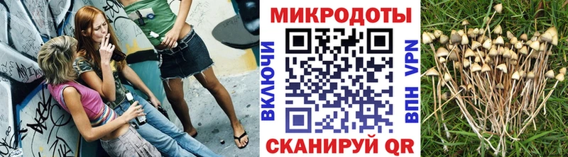 Галлюциногенные грибы Cubensis Хвалынск